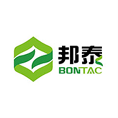 邦泰